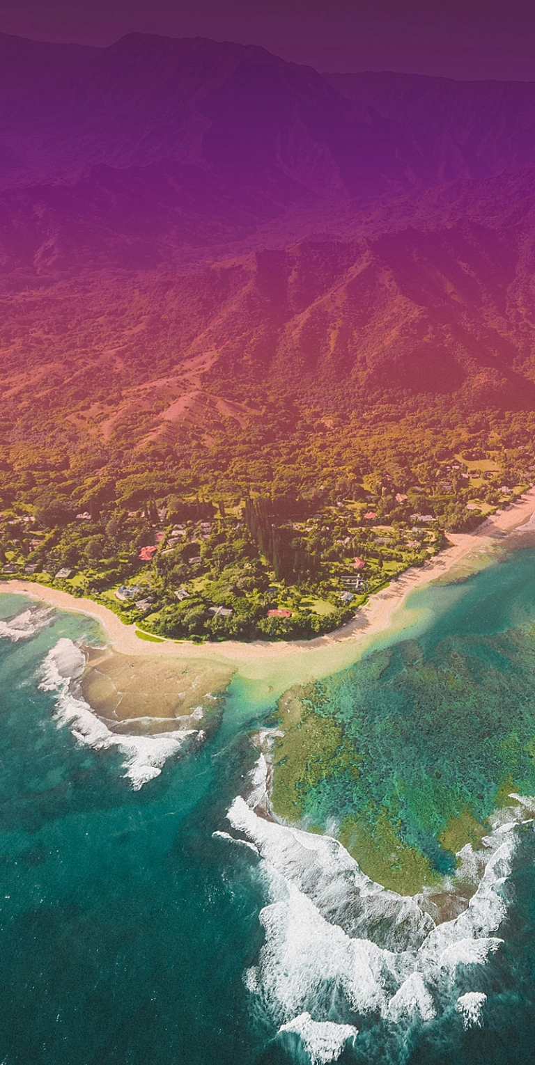 Image of 0221 Lumedic Hawaii with Overlay Vertical